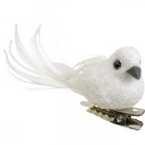 Produkt Deco para gołębi Deco ptaki z klipsem białe L5cm 4 szt