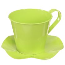 Produkt Filiżanka dekoracyjna metalowa z talerzykiem jasnozielona Ø12 W10cm 8 szt