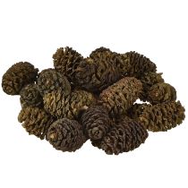 Produkt Szyszki ozdobne olchowe szyszki naturalne do dekoracji 3-4cm 200g