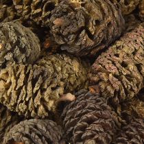 Produkt Szyszki ozdobne olchowe szyszki naturalne do dekoracji 3-4cm 200g