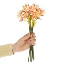 Produkt Ozdobna gałązka kwitnąca lilii peruwiańskiej do ponadczasowych aranżacji, 33 cm, 6 szt.