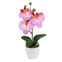 Deco Orchidea w doniczce różowa H29cm