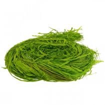 Produkt Rafia dekoracyjna do rękodzieła Naturalna rafia łykowa zielona 200g