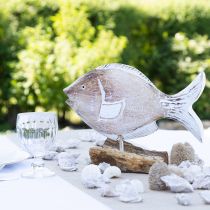Produkt Dekoracyjny drewniany stojak na rybę na korzeniu dekoracja morska 27cm