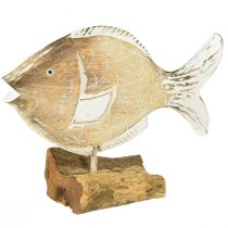 Produkt Dekoracyjny drewniany stojak na rybę na korzeniu dekoracja morska 27cm