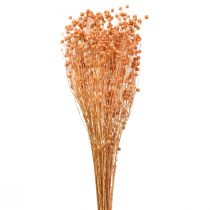 Produkt Deco Lniane Suszone Suszone Kwiaty Morela Naturalne 80g