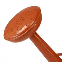 Produkt Metalowa dekoracyjna konewka w stylu rustykalnym, pomarańczowo-brązowa, 26 cm, 5 l - Wszechstronne zastosowanie jako doniczka i pojemnik dekoracyjny