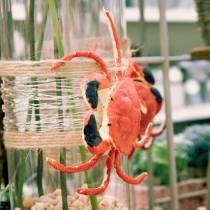 Produkt Deco Crab Red 15cm