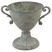 Ozdobne trofeum z uchwytem metalowym brązowo-białym Ø15cm W19,5cm