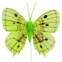 Dekoracje Motyle zielone 8cm 6szt.