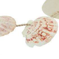 Produkt Wieszak dekoracyjny muszla morska dekoracja naturalna Ø5–10cm 70cm