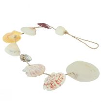 Produkt Wieszak dekoracyjny muszla morska dekoracja naturalna Ø5–10cm 70cm