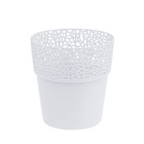 Produkt Doniczka dekoracyjna plastikowa biała Ø13cm W13,5cm 1 szt