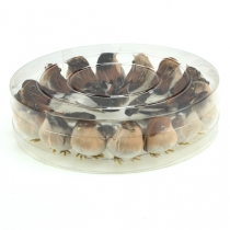 Produkt Ozdobne ptaki 9cm na drucie 16 szt