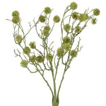 Produkt Gałązka dekoracyjna drzewa ambrowego, owoce jasnozielone, 48 cm