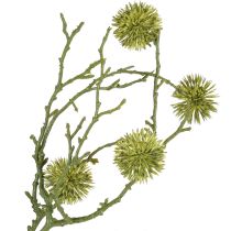 Produkt Gałązka dekoracyjna drzewa ambrowego, owoce jasnozielone, 48 cm