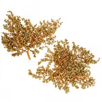 Deco gałęzie jagody susz palma konopna palma uva natura 1kg