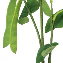 Produkt Gałąź dekoracyjna gałązka fasoli sztuczna roślina zielona 95cm