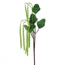 Produkt Gałąź dekoracyjna gałązka fasoli sztuczna roślina zielona 68cm