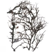 Dekoracyjne gałęzie bonsai drewniane gałęzie dekoracyjne 15-30cm 650g