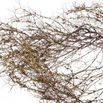 Deco gałęzie Iron Bush gałęzie naturalna dekoracja drewno natura 250g