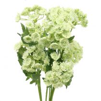 Produkt Koper sztuczny biały 49cm 6 szt