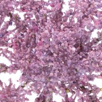 Produkt Sztuczna roślina z jedwabnego kwiatu kopru do nowoczesnych wnętrz 70cm