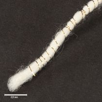 Produkt Sznurek wełniany biały ze złotą nicią 5m x 5mm z drutem do dekoracji i rękodzieła