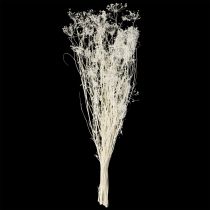 Produkt Suszone kwiaty baldaszkowate (Umbellifera) białe 70-80cm 150g