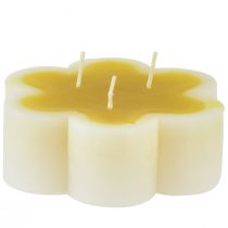 Świeca trójknotowa dekoracyjna świeca kwiatowa żółta biała Ø11,5cm W4cm