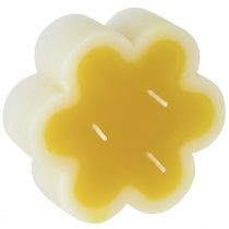 Produkt Świeca trójknotowa dekoracyjna świeca kwiatowa żółta biała Ø11,5cm W4cm