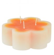 Produkt Świeca trójknotowa biała pomarańczowa w kształcie kwiatka Ø11,5cm W4cm