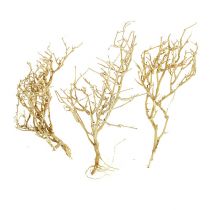 Dry Tree 500g bielone