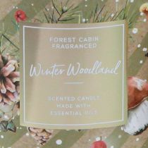 Produkt Świeca zapachowa Winter Woodland w szklance Ø9,5cm W10,5cm