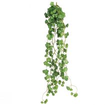 Produkt Sztuczne wiszące rośliny Echeveria w kolorze zielonym S12cm D50cm