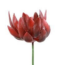 Soczyste Echeveria Sztuczne Rośliny Zielone Czerwone Ø12cm 19,5cm