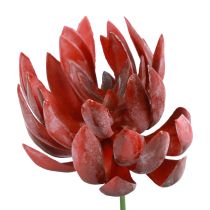Soczyste Echeveria Sztuczne Rośliny Zielone Czerwone Ø12cm 19,5cm