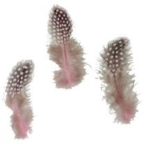 Produkt Prawdziwe pióra perliczki różowe w kropki 4-12cm 100szt