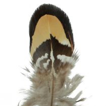 Produkt Prawdziwe ptasie pióra Ozdobne pióra w paski 3-4cm 60szt