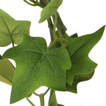 Produkt Sztuczna winorośl Ivy Girlanda zielona z 2 oczkami dł. 150 cm