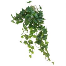Produkt Ozdoba ze sztucznych liści bluszczu do zawieszenia w kolorze zielonym L65cm