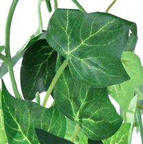 Produkt Girlanda bluszczowa sztuczna roślina bluszcz sztuczny zielony 170cm