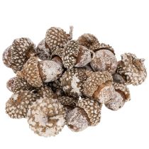 Produkt Żołędzie, produkt naturalny do dekoracji, bielone, 1-3 cm, 300 g