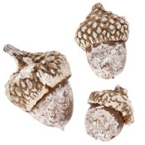 Produkt Żołędzie, produkt naturalny do dekoracji, bielone, 1-3 cm, 300 g