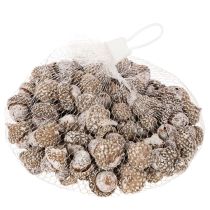 Produkt Żołędzie, produkt naturalny do dekoracji, bielone, 1-3 cm, 300 g