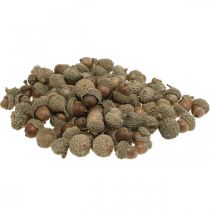 Żołędzie do ozdabiania, dekoracje jesienne, owoce jesienne oczywiście Ø1,5 - 2,5cm L1,5 - 3cm 300g