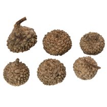 Produkt Naturalne czapeczki z żołędzi, ozdobne miseczki na jesień i adwent, 2 cm, 300 g
