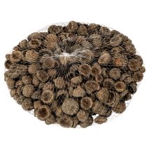 Produkt Naturalne czapeczki z żołędzi, ozdobne miseczki na jesień i adwent, 2 cm, 300 g