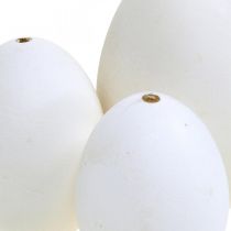 Produkt Jaja łabędzie i jajka kurze mix wydmuszki białe 5,5/8cm 9szt
