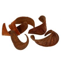 Produkt Ucho Słonia Naturalne 25 szt